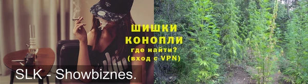 spice Абаза