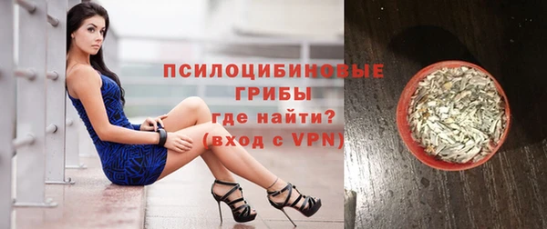 spice Абаза