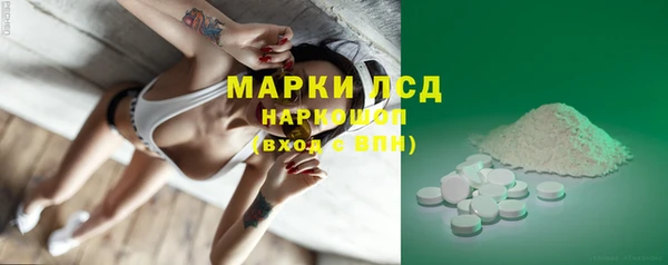 прущие грибы Абдулино