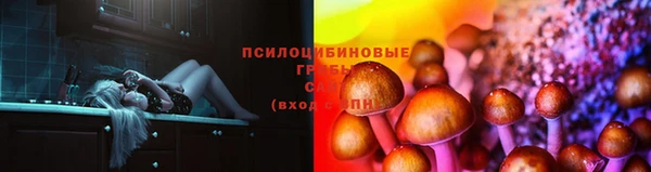 прущие грибы Абдулино