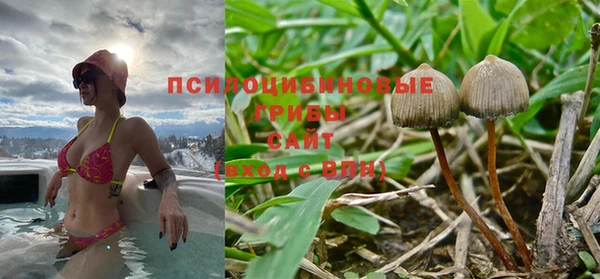 прущие грибы Абдулино